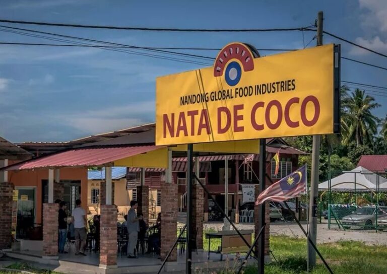 nata de coco